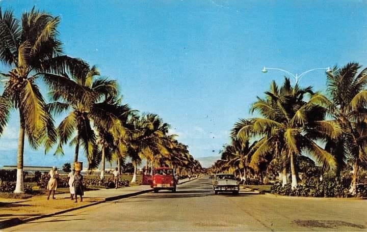 Palm-lined tropical road with vintage cars under a blue sky